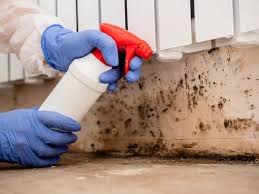 Best Biohazard Mold Removal in Brownsboro, TX